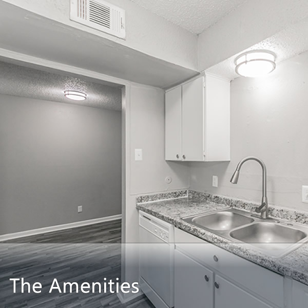 Features & Amenities